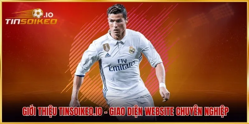 Giới thiệu evonomy.io - Giao diện website chuyên nghiệp